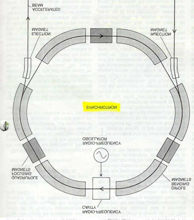 M icro-view of Synchrotron Wilson, Robert R; Scientific American, The