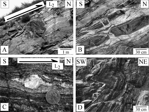 Fig. 8. Field evidences for D2 event in North Hengshan migmatite. (A) Asymmetric amphibolite restite enclosed within the gneissic migmatite, the pressure shadows define a topto-the N shearing (N39 30.