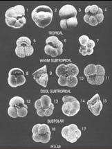 Parameter: Ice volume (and temperature) Proxy: δ 18 O in carbonate (CaCO 3 ) shells of foraminifera Archive: Forams in ocean sediments Dating: 14 C,