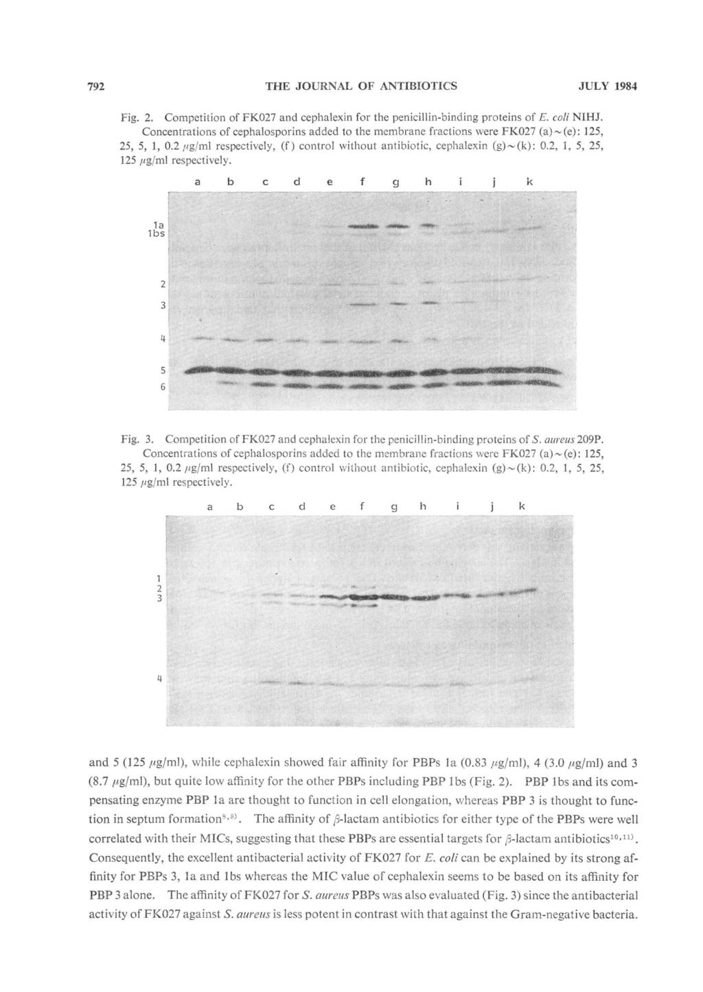 79 THE JOURNAL OF ANTIBIOTICS JULY 984 Fig.. Competition of FK07 and cephalexin for the penicillin-binding proteins of E. co/i NIHJ.