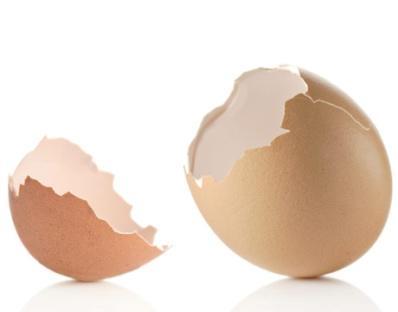 http://www.goodhousekeeping.com/cm/thedailygreen/images/sw/egg-shell-lg.jpg http://www.blog.iqsdirectory.