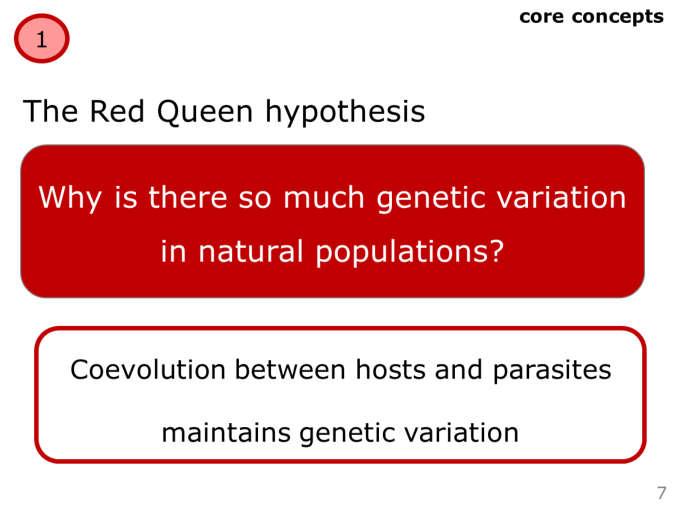 The Red Queen Hypothesis was developed to answer this