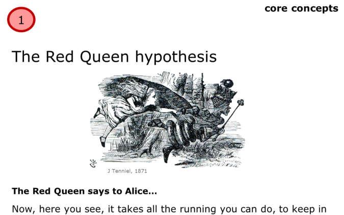 Where does the name come from? The Red Queen grabbed Alice s hand and they started running really fast.