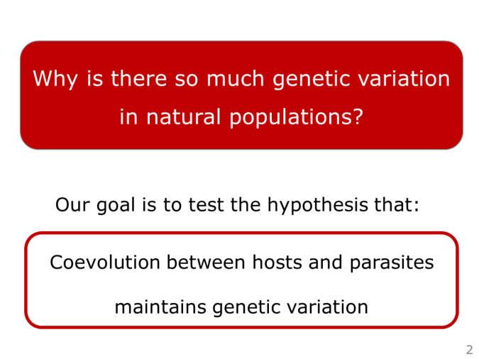 This is a big question in evolutionary biology the question!