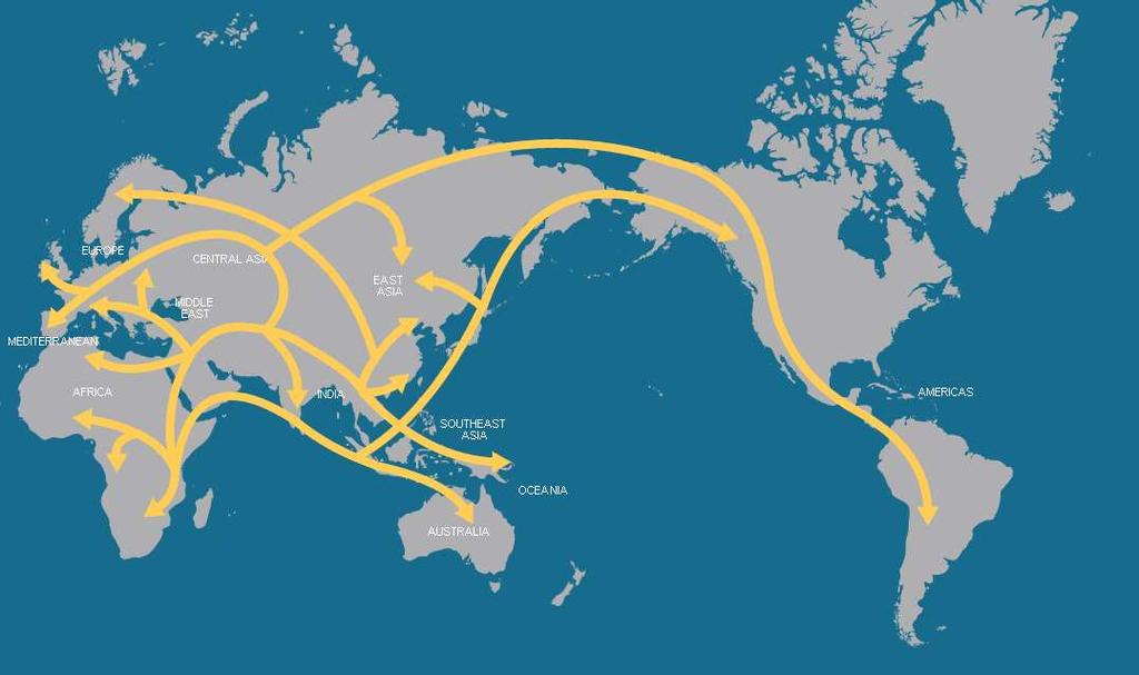 [Explain Why Variation Exists] Human Migration Routes We are an African species that spent most of our time on Earth in Africa First Homo