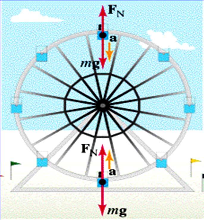 ConcepTest Going in Cicles You e on a Feis wheel moing in a etical cicle.