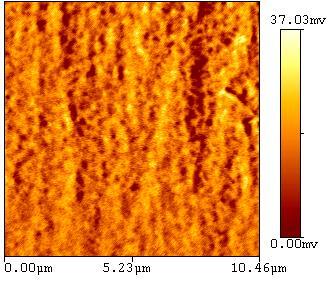 MFM image acquired by raising the magnetic tip ~80 nm