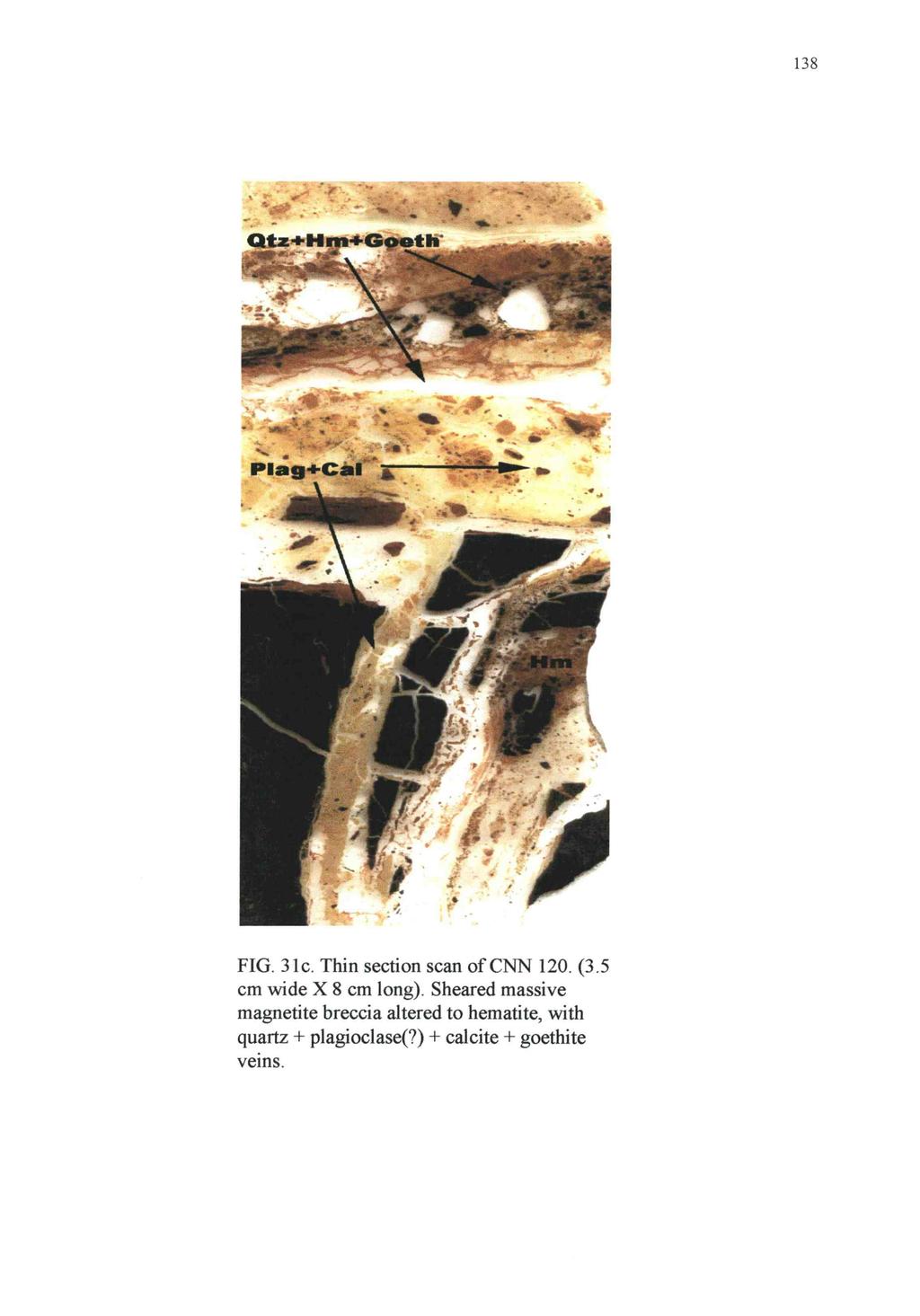 FIG. 31c. Thin section scan of CNN 120. (3.5 cm wide X 8 cm long).