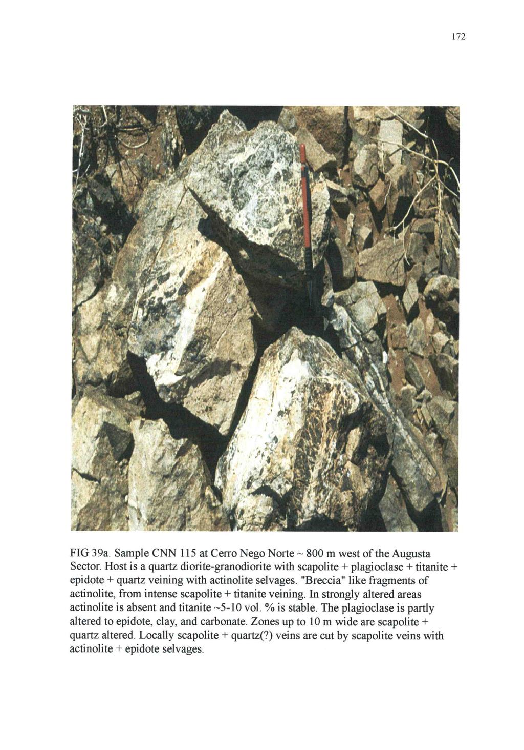 172 FIG 39a. Sample CNN 115 at Cerro Nego Norte 800 m west of the Augusta Sector.