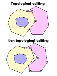 topologically structured polygons Another important consequence of