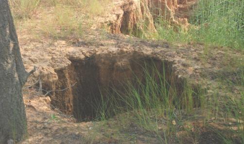 These factors made sinkholes surface transformed to be soil cliffs that have an upper surface of cliffs connect with surrounding area.