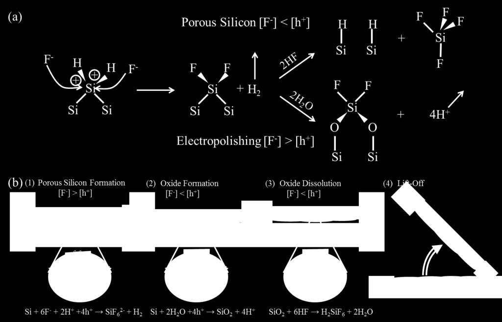 of the original porous film (Figure 2-3b). Figure 2-3. (a) Reaction model pathways of the anodic dissolution of Si during porous Si formation and electropolishing.