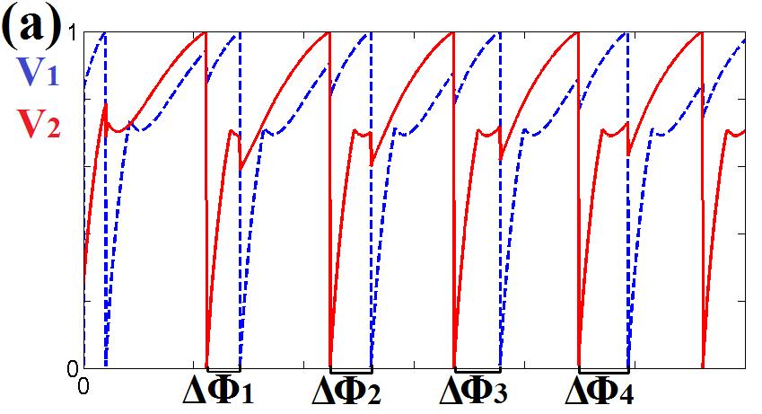 Figure 24: In (a), the pair of weakly coupled DSI cells (with δ-function synapses and τ c = 0 ) evolves to antiphase phase-locked behavior ( Φ k 0.5 T as k ). In (b), the pair (with τ c = 0.