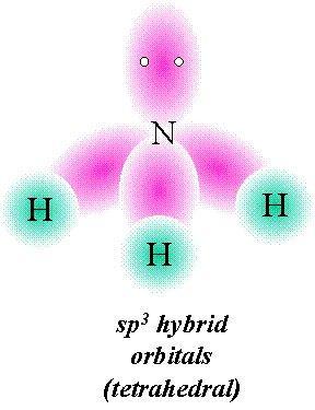 of hybridization to describe the electronic orbitals used by the central atom in bonding Steps in predicting the hybrid orbitals used by an atom in bonding: 1. Draw the Lewis structure 2.