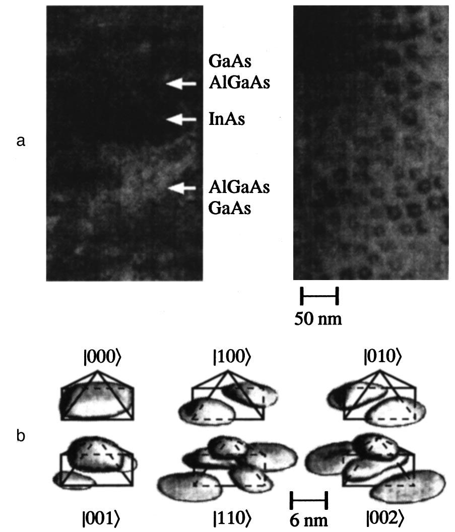 Semiconductors 32 (4), April 1998 Ledentsov et al. 357 FIG. 11. TEM images of InAs quantum dots in a GaAs matrix: crosssectional image upper left, plan-view image upper right.
