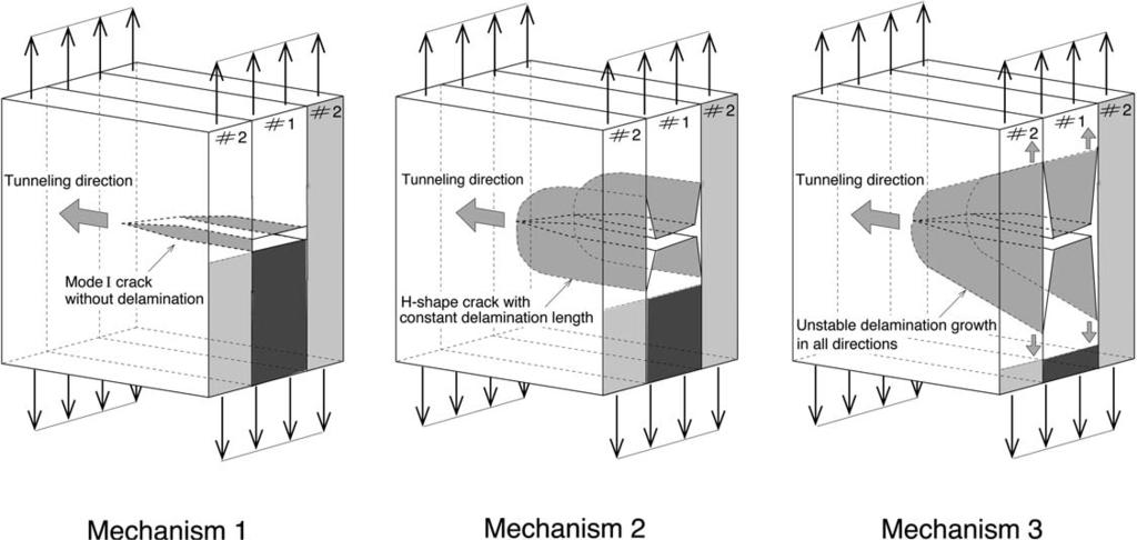 Crack tunneling and plane-strain delamination in layered solids 3 Figure 2. Three possible failure mechanisms for a laminate of two dissimilar, isotropic materials.