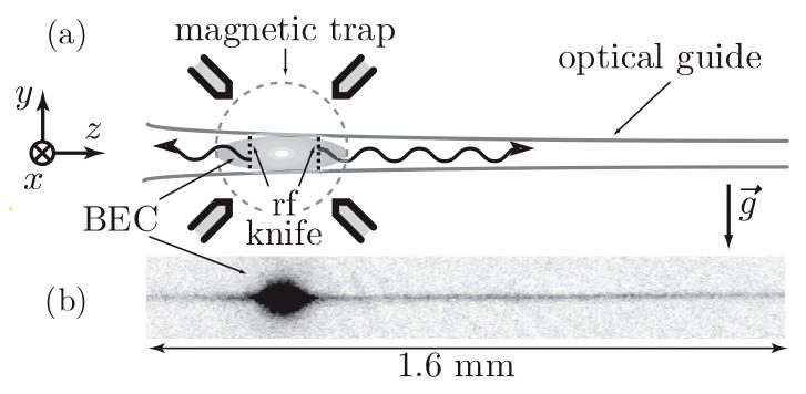 Atom laser beam From: W. Guerin et al.