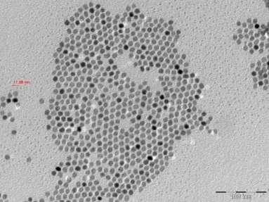 These low-resolution TEM images also show that the PbSe NCs are packed in a simple