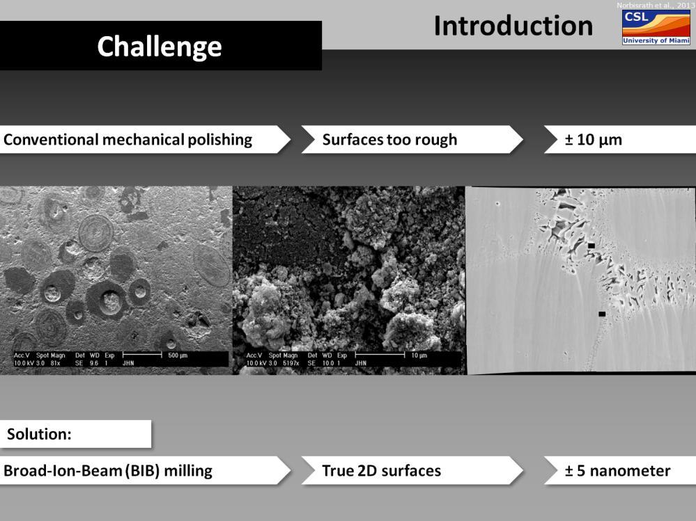 Presenter s notes: Quantifying SEM images: Conventionally prepared surfaces are too rough to quantify pore space; you need a perfectly