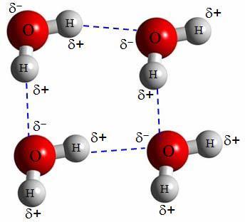 Hydrogen bonding Hydrogen bond is a type of secondary bond found in molecules containing hydrogen as a constituent.