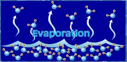 Evaporation Chumbler -