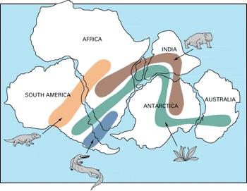 correlation of fossils on continental boundaries once touching (same age and type of fossils) 4. mt.