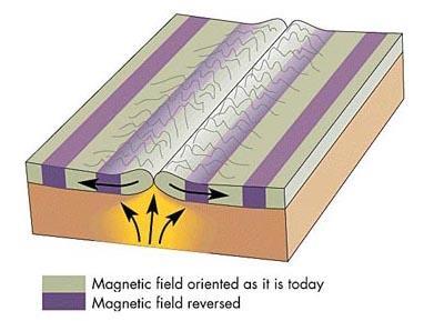 Theory of Plate tectonics Plates -
