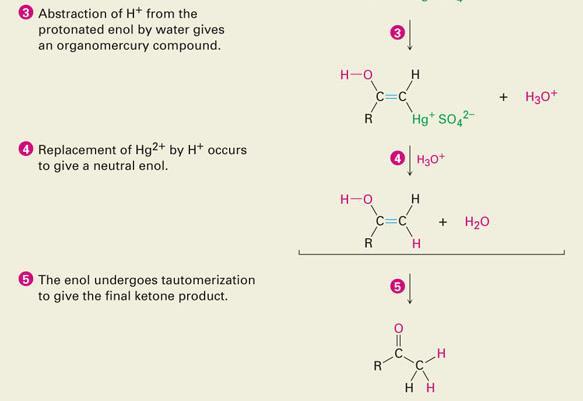Mechanism of Mercury(II)-Catalyzed Hydration of Alkynes The immediate