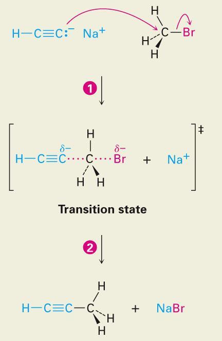 8.8 Alkylation of Acetylide Anions Acetylide ions can react as nucleophiles as well as bases (see Figure 8-6 for mechanism) Reaction