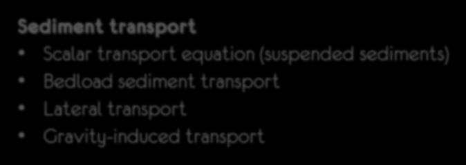 Sediment transport Scalar transport equation (suspended sediments) Bedload