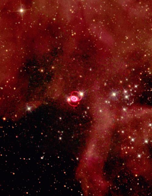 FIG. 1: Hubble Space Telescope image of the SN 1987A remnant in the Large Magellanic Cloud, a close companion of the Milky Way.
