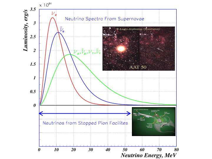 28 FIG. 8: The neutrinos produced by stopped-pion facilities are in just the right energy range to measure the neutrino-nucleus cross sections required for understanding supernova neutrino emission.