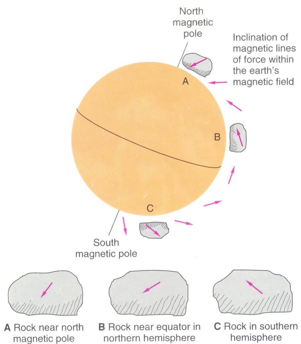 Remnant magnetism recorded in igneous rocks that have cooled below their Curie point.