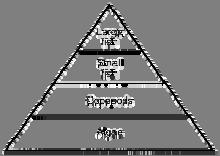 33. The diagram represents a pyramid of biomass in an aquatic environment. Which statement best explains why mass decreases from one level to the next in this pyramid?
