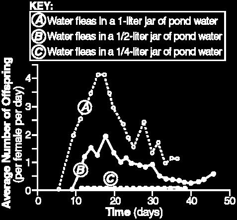 The information in the graph suggests that - A the ability of a water flea to produce offspring is affected by population density. B water fleas produce more offspring when they are crowded together.