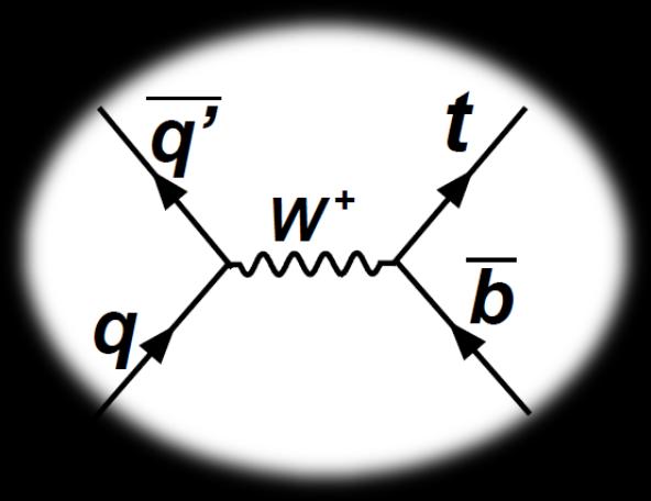 b-quark parton distribution function