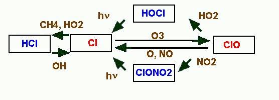 The stratospheric chemistry of chlorine-containing compounds is strongly coupled with chemistry of CH 4, NO x and HO x. Figure 36.