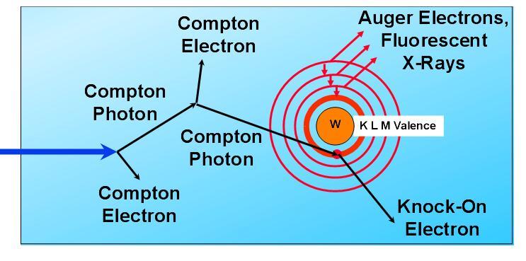 Anti-Bragg peak at place of photoelectron birth E >> E L E E L Nucleus receives recoil pulse