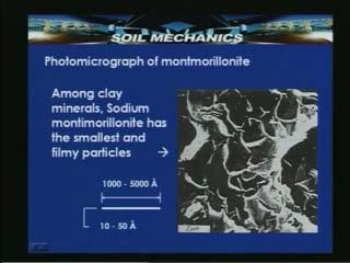 Here you can see the gel type appearance of the photomicrograph for the Montmorillonite.