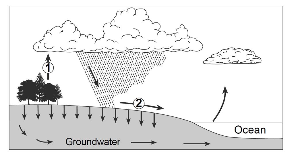 28. The arrows in the diagram below represent processes in the water