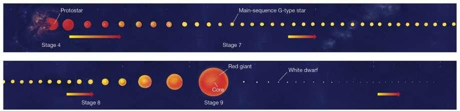20.3 The Death of a Low- Mass Star This graphic shows the entire evolution of a