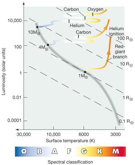 20.4 Evolution of Stars More Massive than the Sun It can be seen from this H-R diagram that
