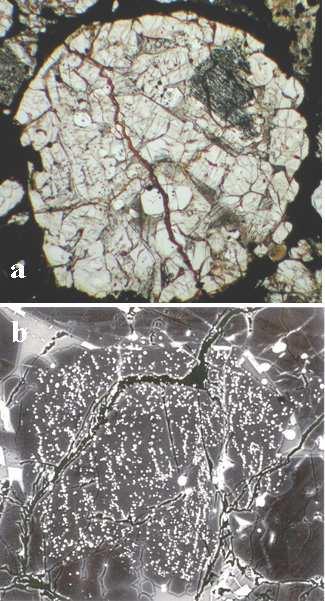 260 Jones, Grossman, and Rubin Figure 4. Dusty relict grains in chondrules provide evidence for in situ reduction of more FeO-rich silicates (olivine, pyroxene).