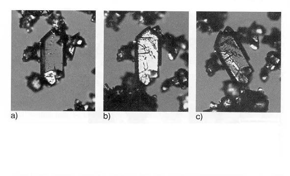 7 41 Microscopy Solid state change from acetaminophen Form II to Form I shown by change in extinction.
