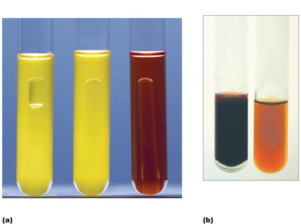 Figure 4.23 Two biochemical tests for identifying bacteria.