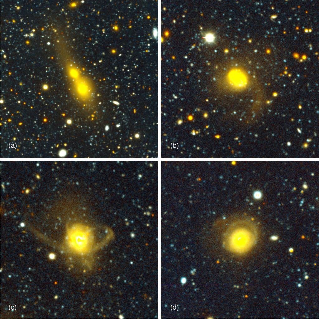 Elliptical Galaxies can also grow from mergers of