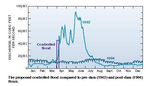 7 Rationale for High-Flow Experimental Floods After the closure of Glen Canyon Dam, peak discharges that sent sediment downstream decreased significantly.