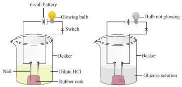 beaker and the current is switched on. The same experiment is then performed with glucose solution and alcohol solution.