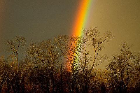 2. Formation of rainbow: The rainbow is formed when in the sky when sun shines and it is raining at the same time. The raindrops in the atmosphere act like many small prisms.