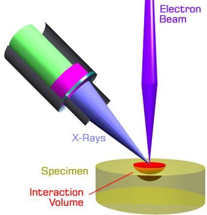 Introduction Detection characteristic X-rays Si (Li) crystal Field Effect Transistor (FET) and